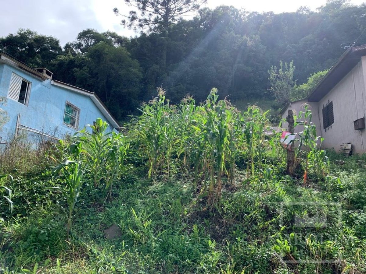 Terreno com 300m², Nao suíte, no bairro Loteamento Fachini em Marau