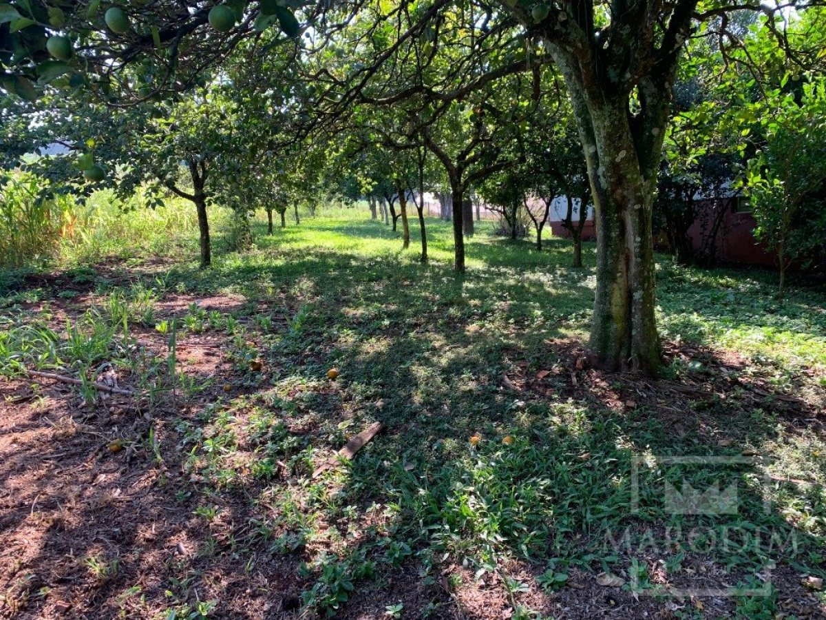 Sítio com 17294m², 3 dormitórios, Nao suíte, 4 vagas, no bairro Interior em Marau