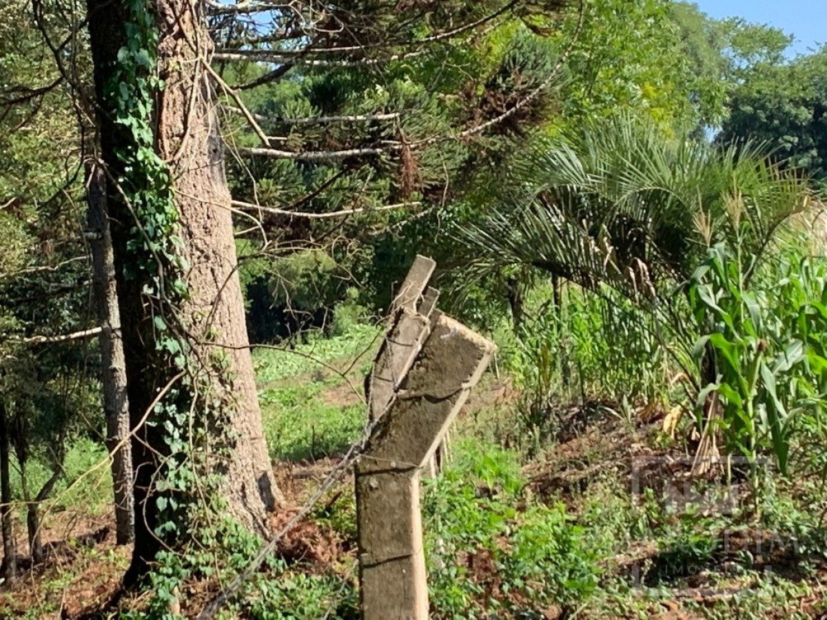 Sítio com 17294m², 3 dormitórios, Nao suíte, 4 vagas, no bairro Interior em Marau