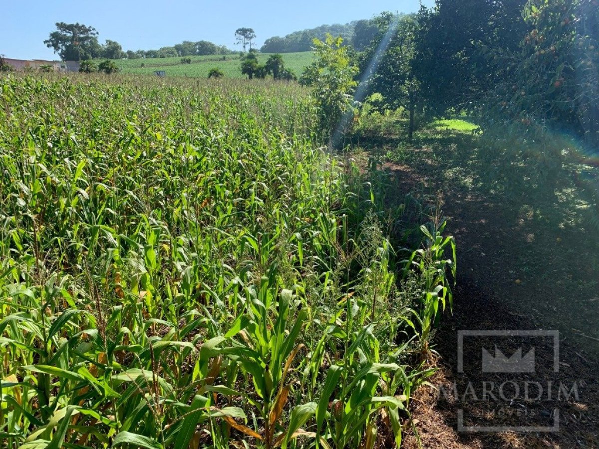 Sítio com 17294m², 3 dormitórios, Nao suíte, 4 vagas, no bairro Interior em Marau