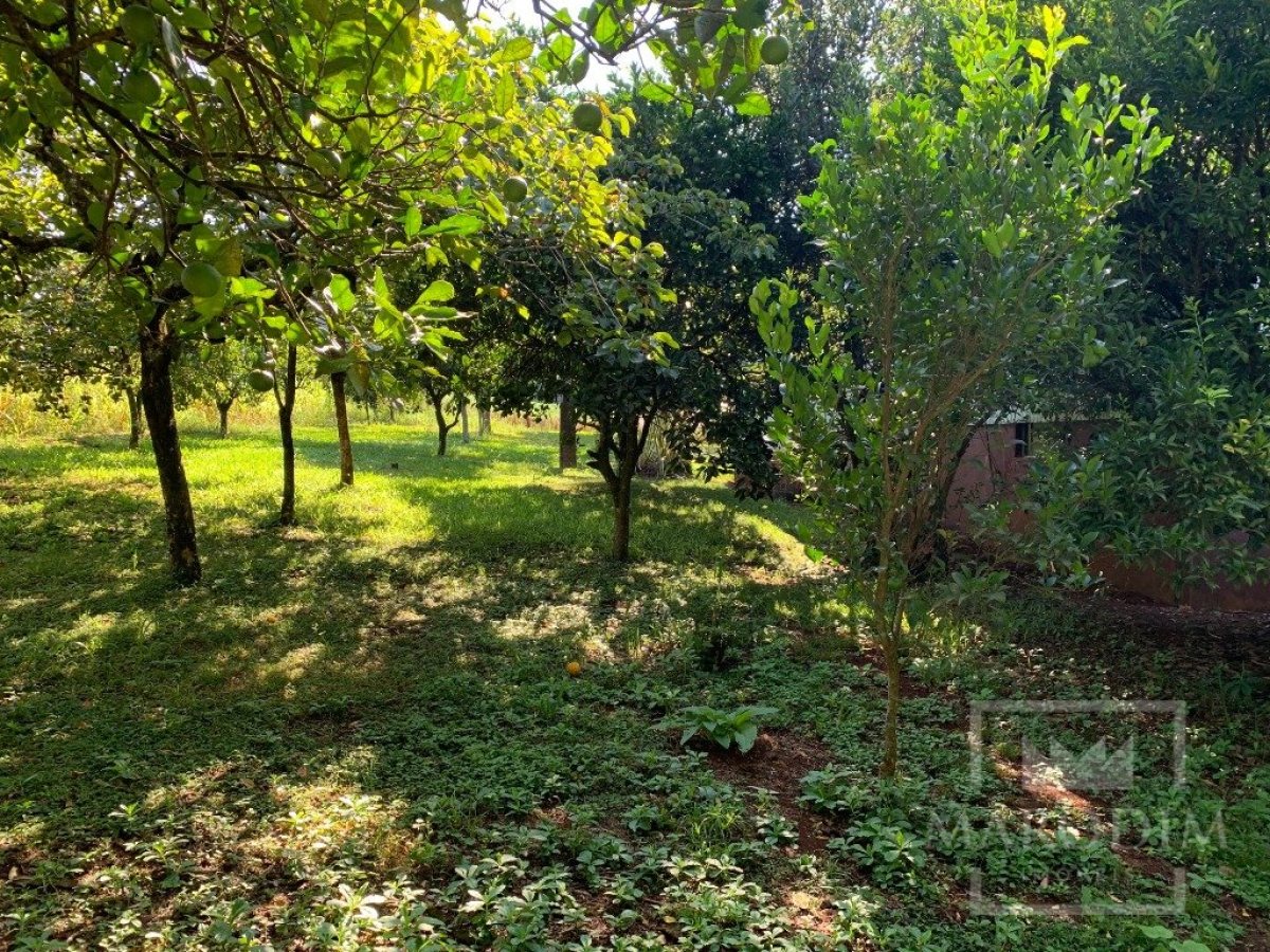 Sítio com 17294m², 3 dormitórios, Nao suíte, 4 vagas, no bairro Interior em Marau