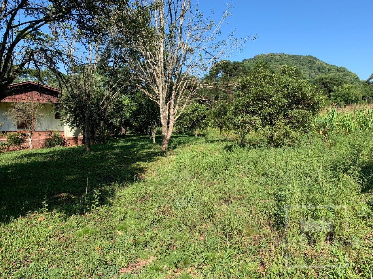 Sítio com 17294m², 3 dormitórios, Nao suíte, 4 vagas, no bairro Interior em Marau