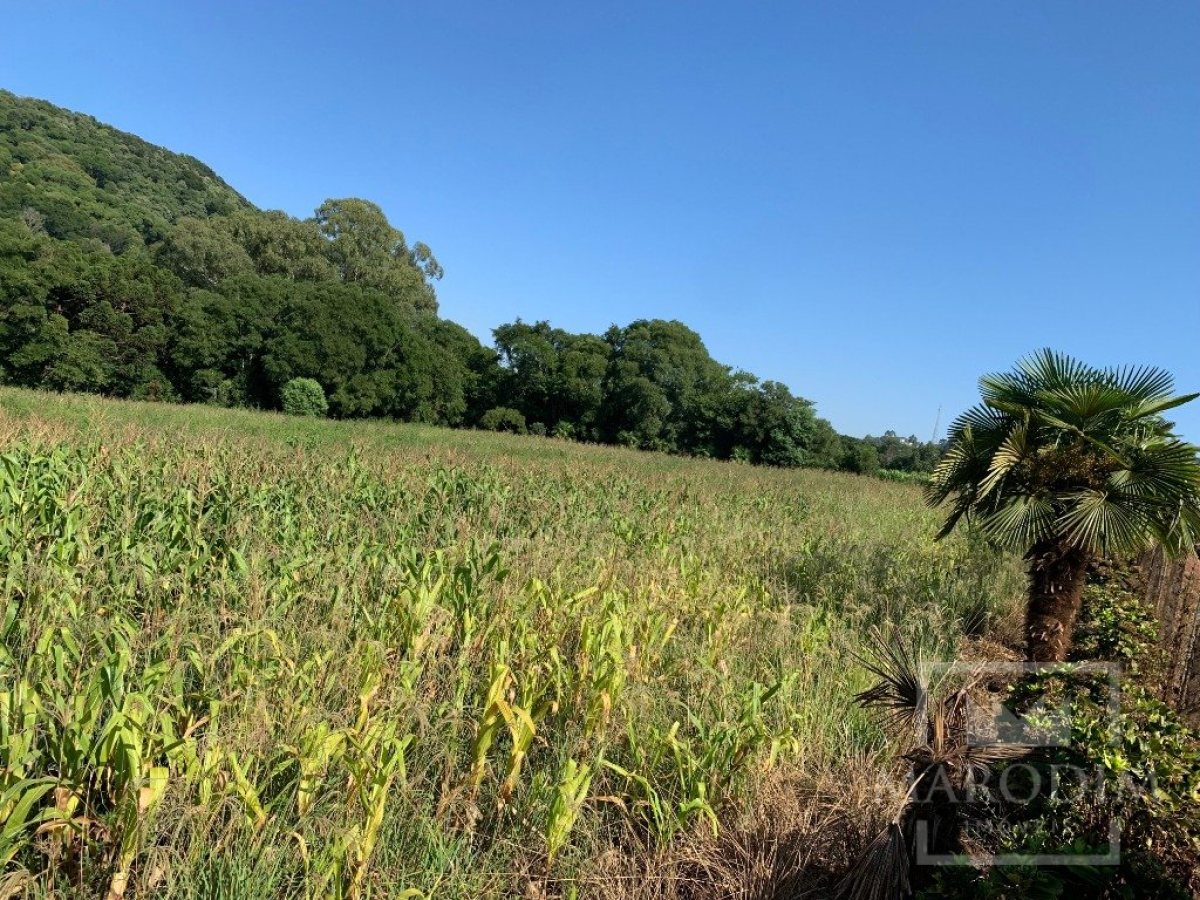 Sítio com 17294m², 3 dormitórios, Nao suíte, 4 vagas, no bairro Interior em Marau