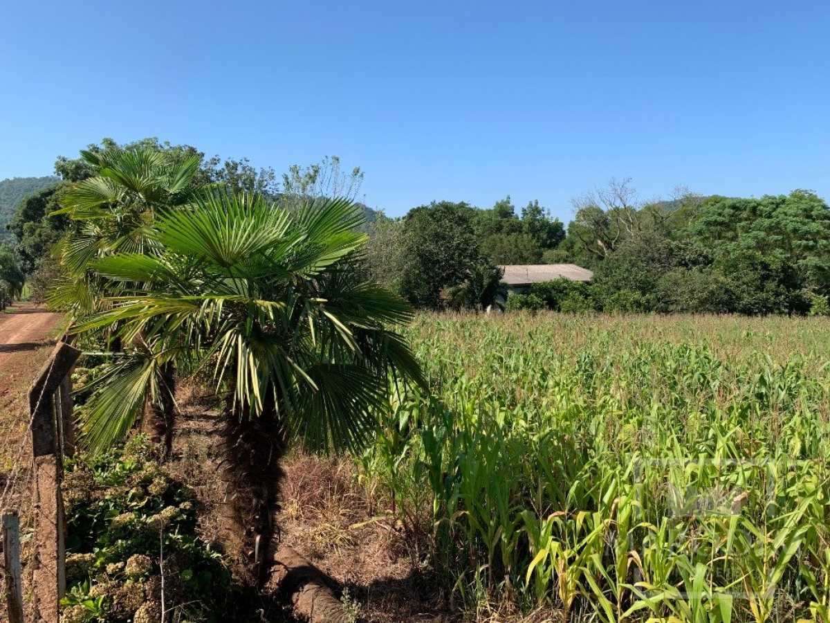 Sítio com 17294m², 3 dormitórios, Nao suíte, 4 vagas, no bairro Interior em Marau