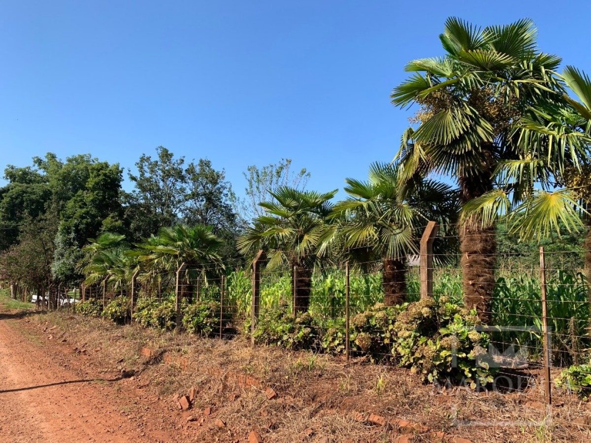 Sítio com 17294m², 3 dormitórios, Nao suíte, 4 vagas, no bairro Interior em Marau