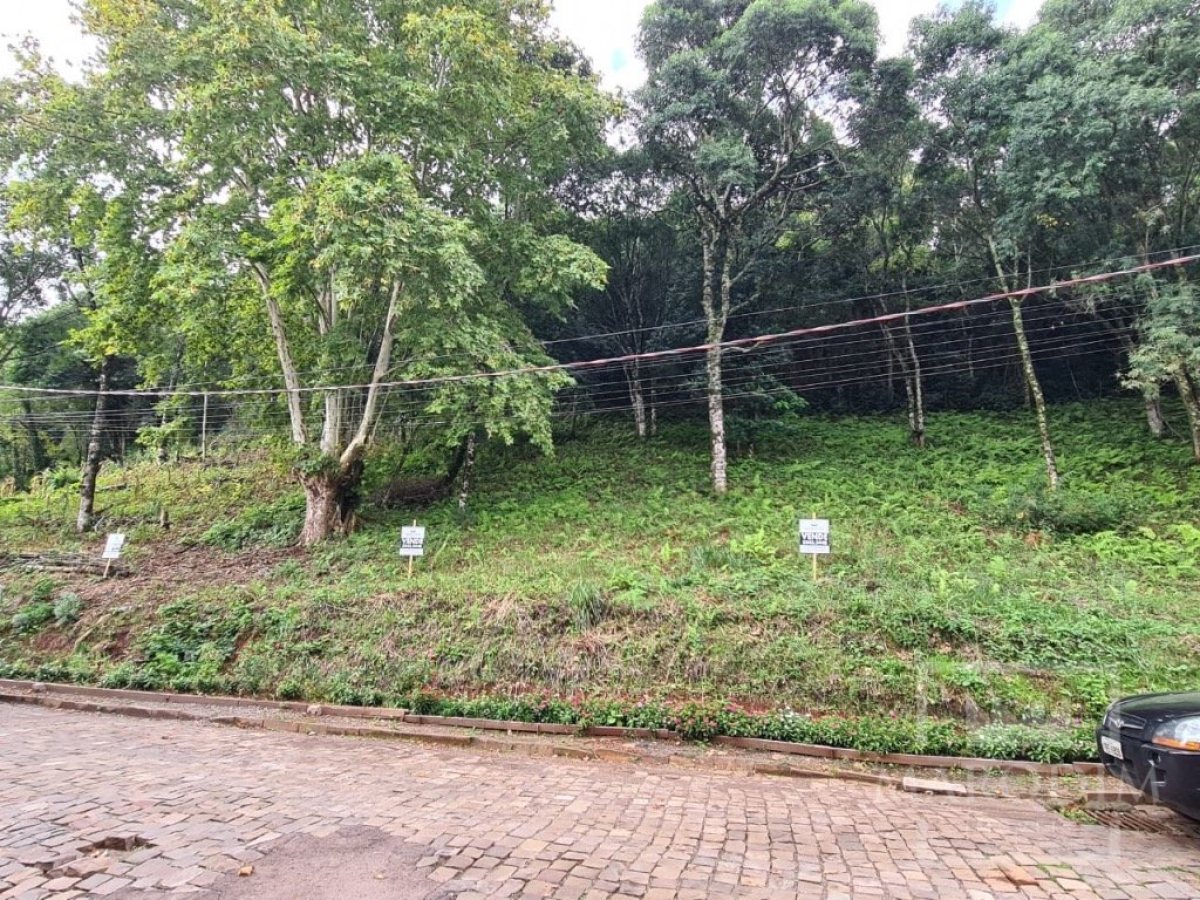 Terreno com 300m², Nao suíte, no bairro Guadalupe em Marau