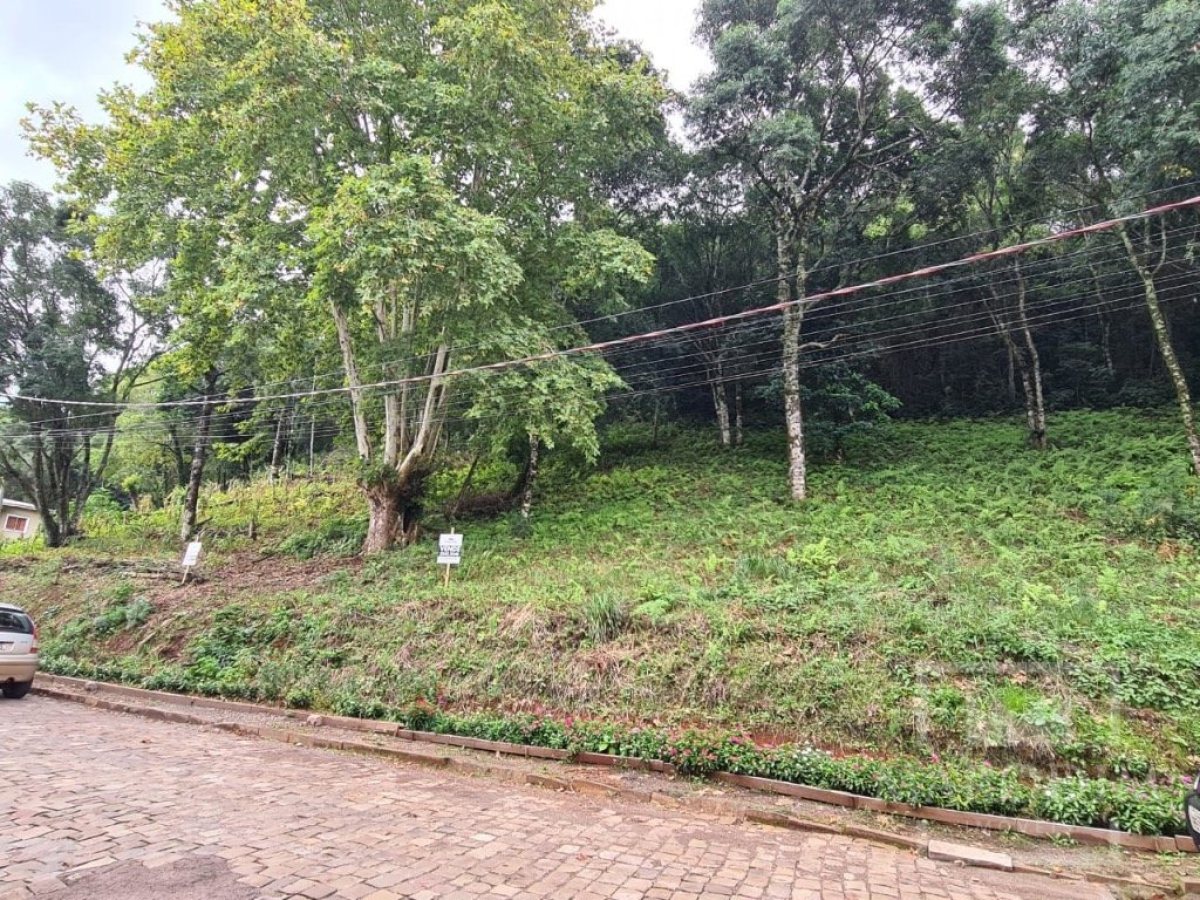 Terreno com 300m², Nao suíte, no bairro Guadalupe em Marau