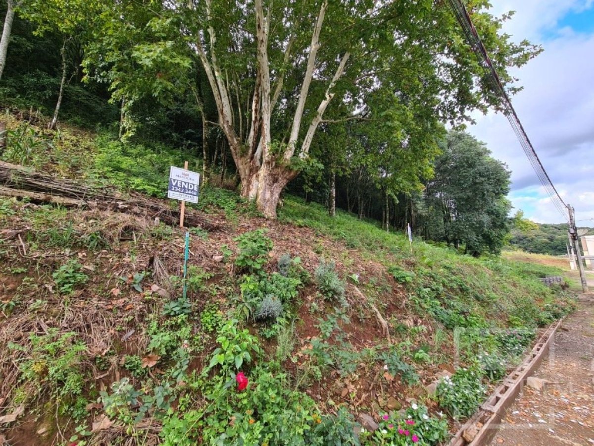 Terreno com 300m², Nao suíte, no bairro Guadalupe em Marau