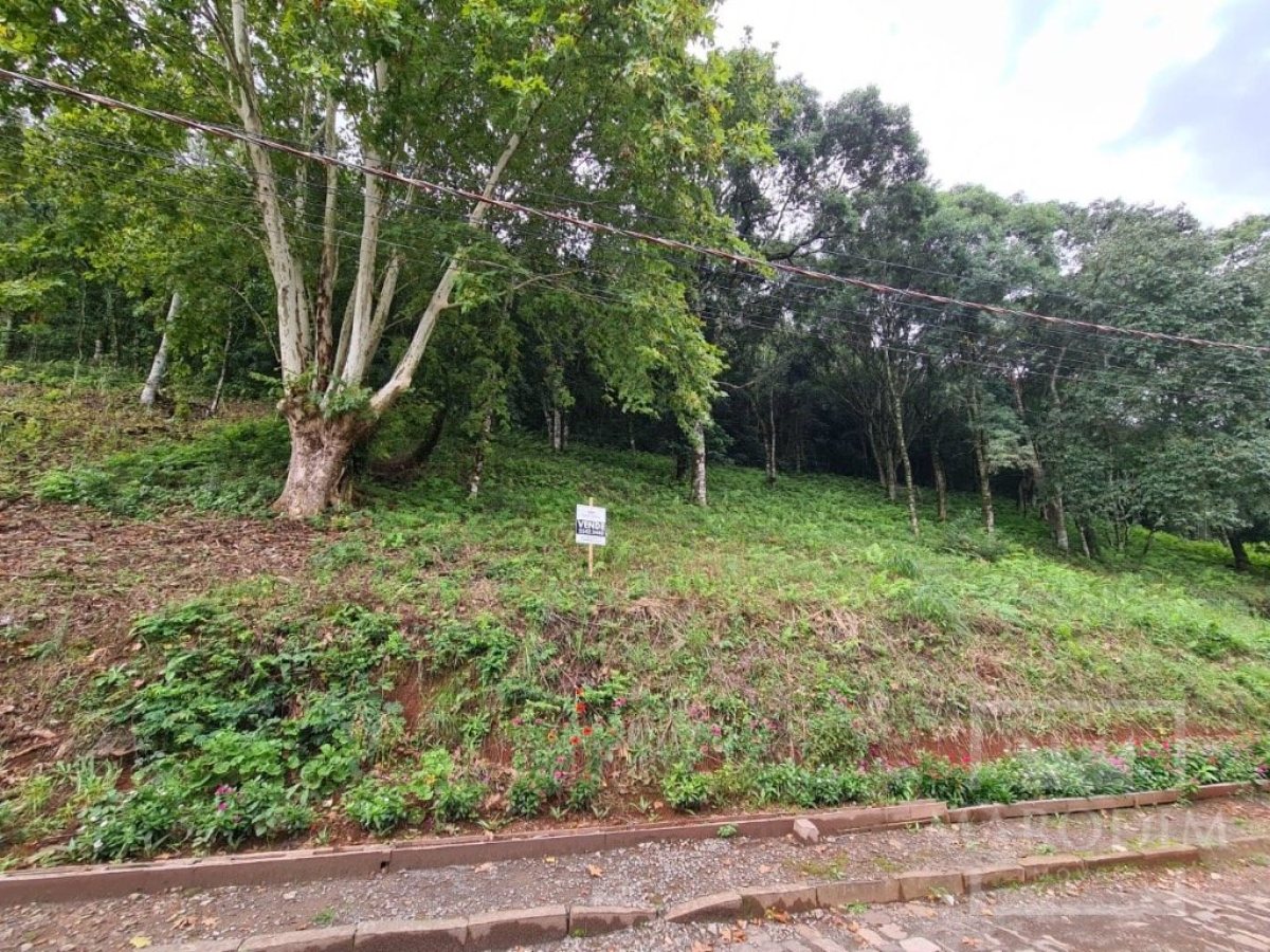Terreno com 300m², Nao suíte, no bairro Guadalupe em Marau