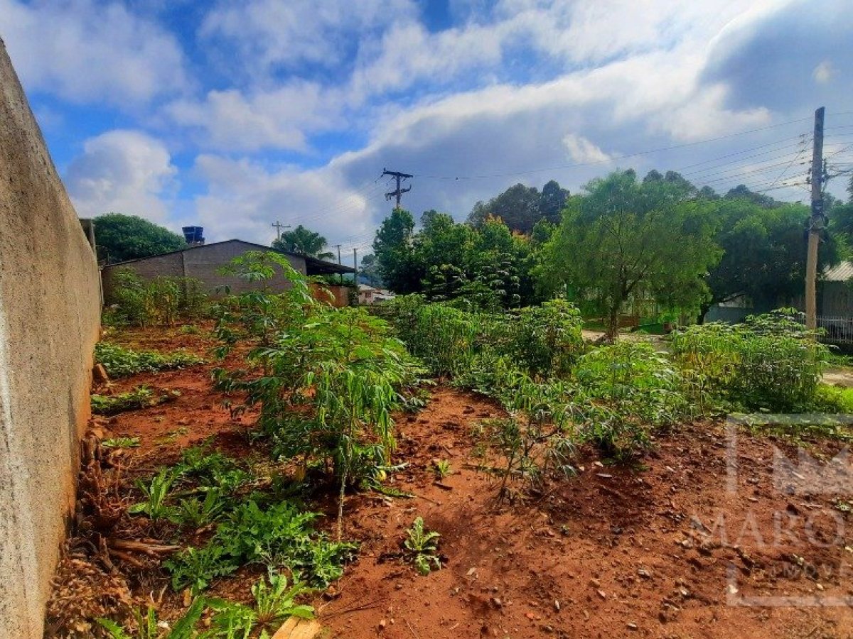 Terreno com 325m², Nao suíte, no bairro Santa Lúcia em Marau