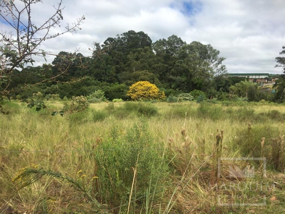 Terreno com 8201m², Nao suíte, no bairro Borges de Medeiros em Marau