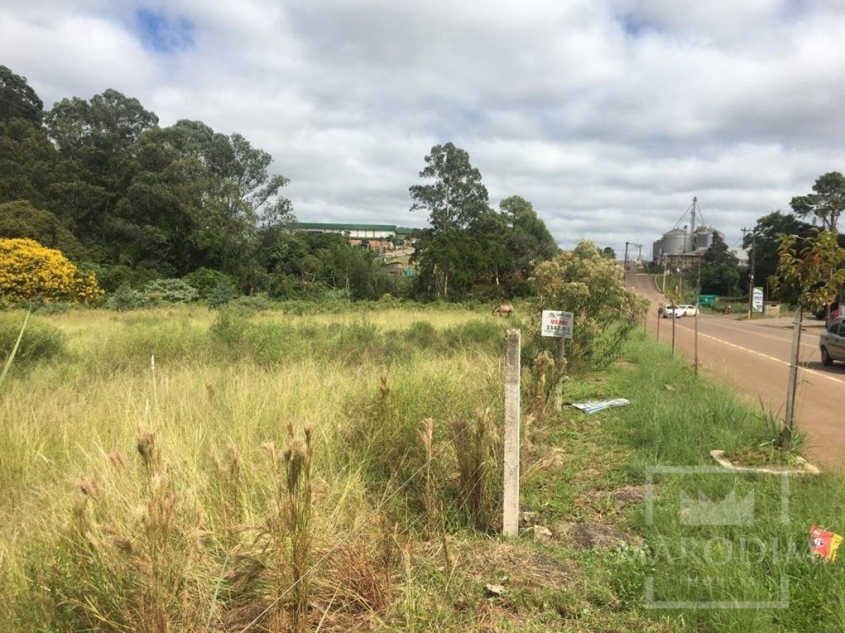 Terreno com 8201m², Nao suíte, no bairro Borges de Medeiros em Marau