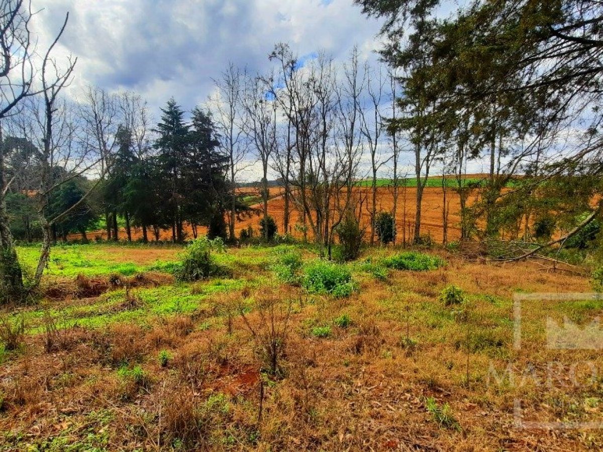 Área com 36000m², Nao suíte, no bairro Interior em Marau