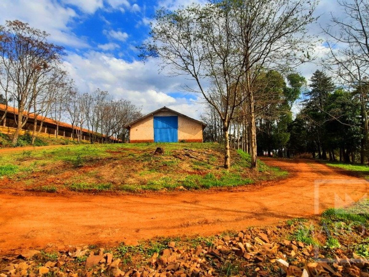 Área com 36000m², Nao suíte, no bairro Interior em Marau