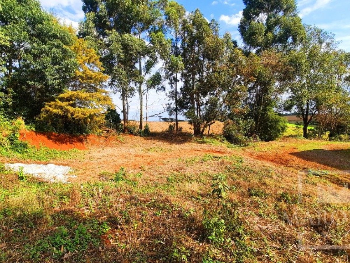 Área com 36000m², Nao suíte, no bairro Interior em Marau