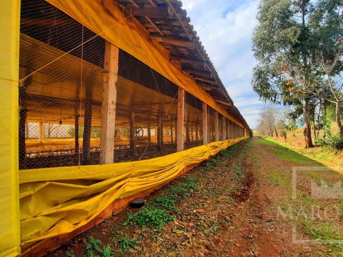 Área com 36000m², Nao suíte, no bairro Interior em Marau