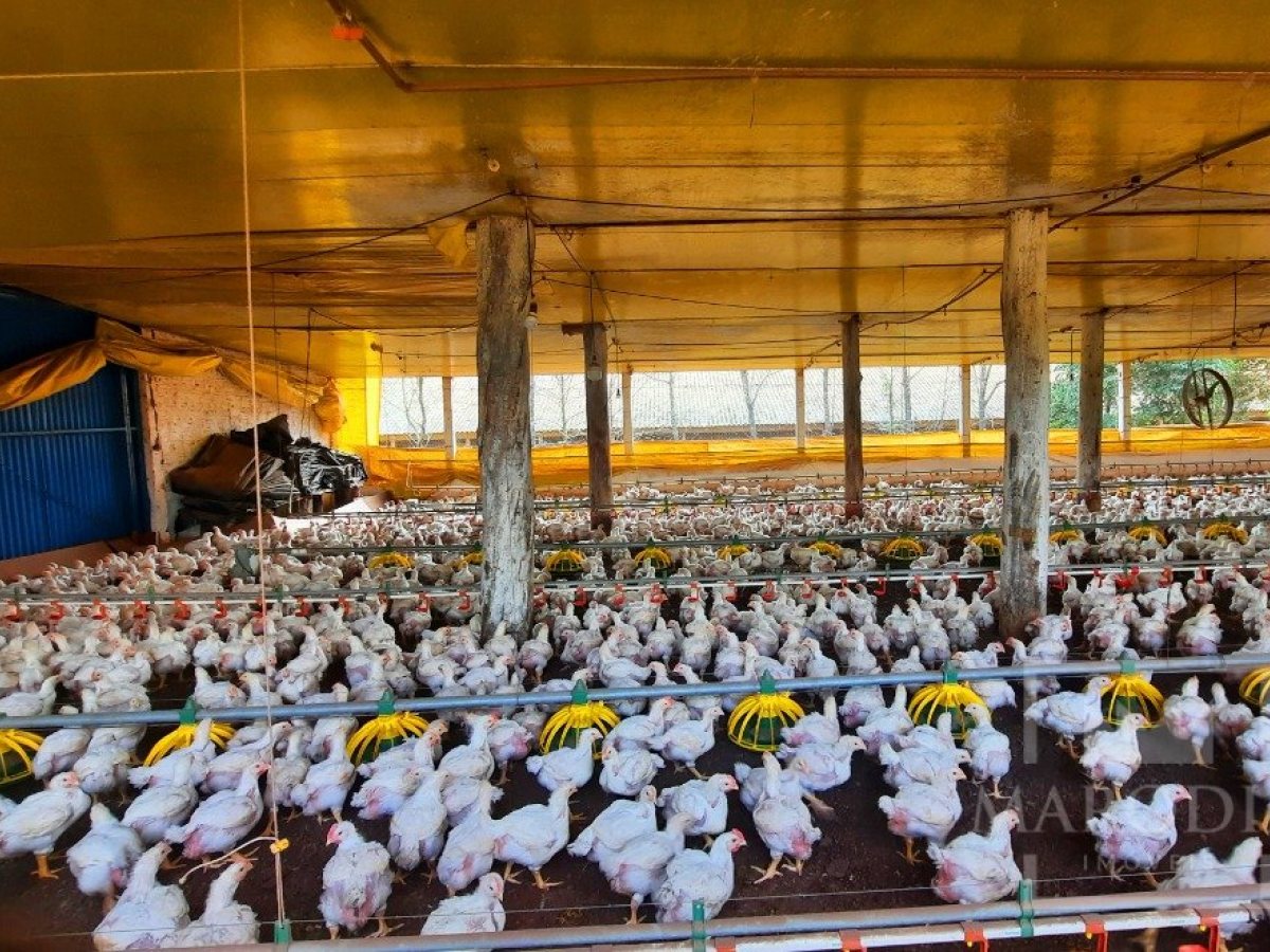 Área com 36000m², Nao suíte, no bairro Interior em Marau