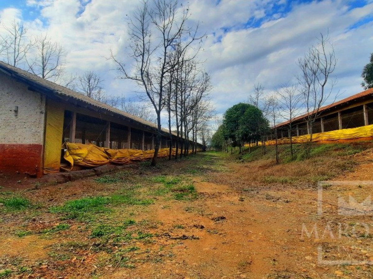 Área com 36000m², Nao suíte, no bairro Interior em Marau