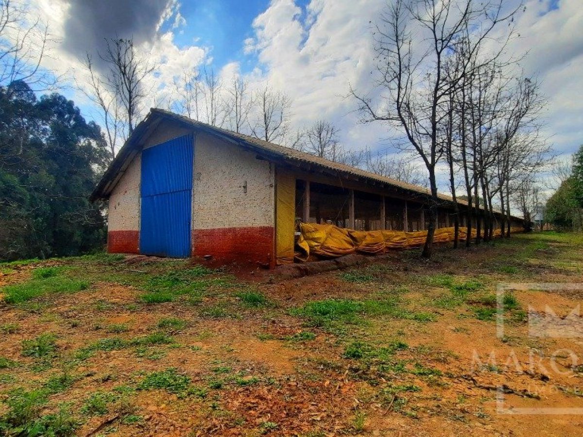 Área com 36000m², Nao suíte, no bairro Interior em Marau