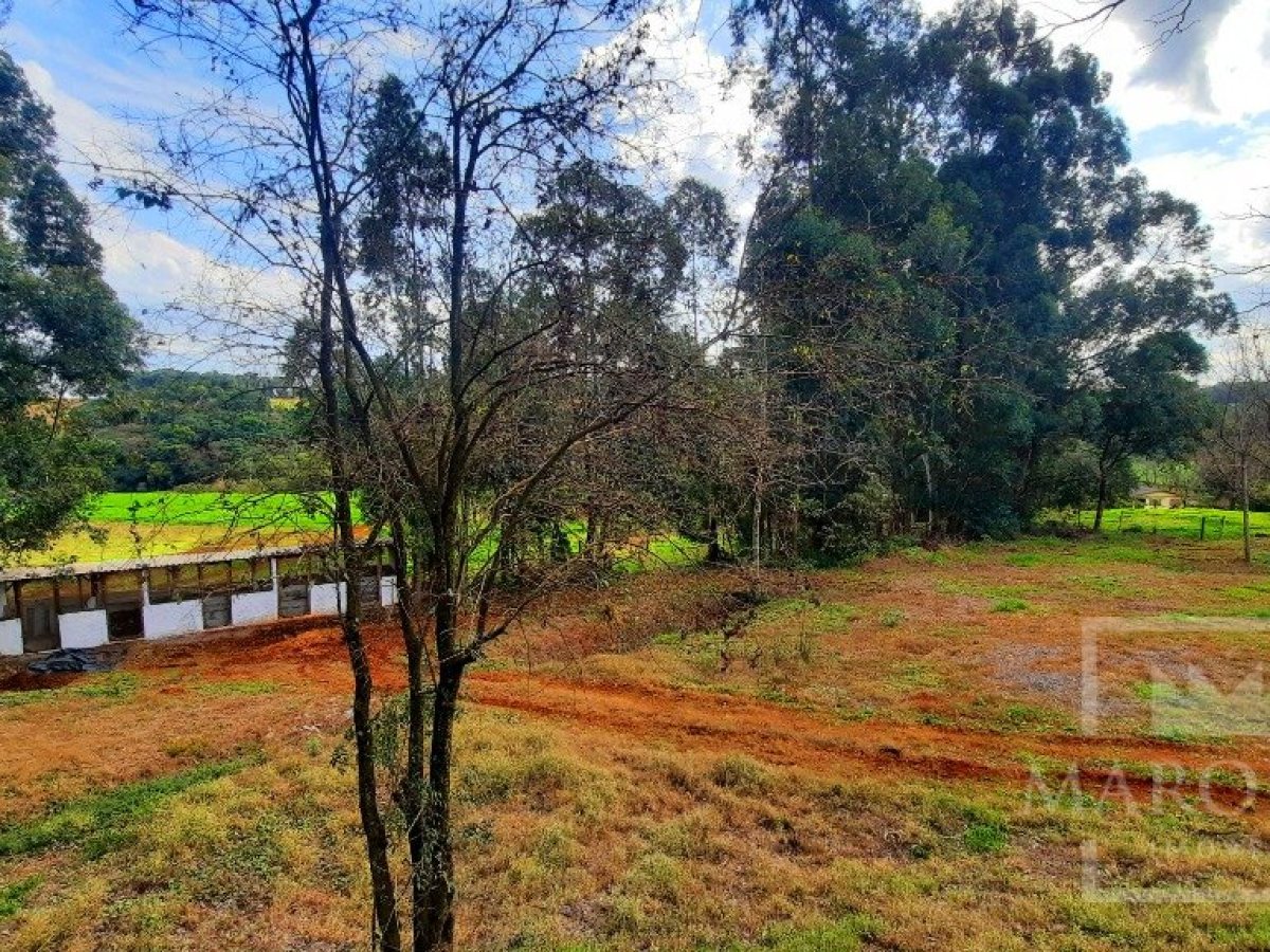 Área com 36000m², Nao suíte, no bairro Interior em Marau