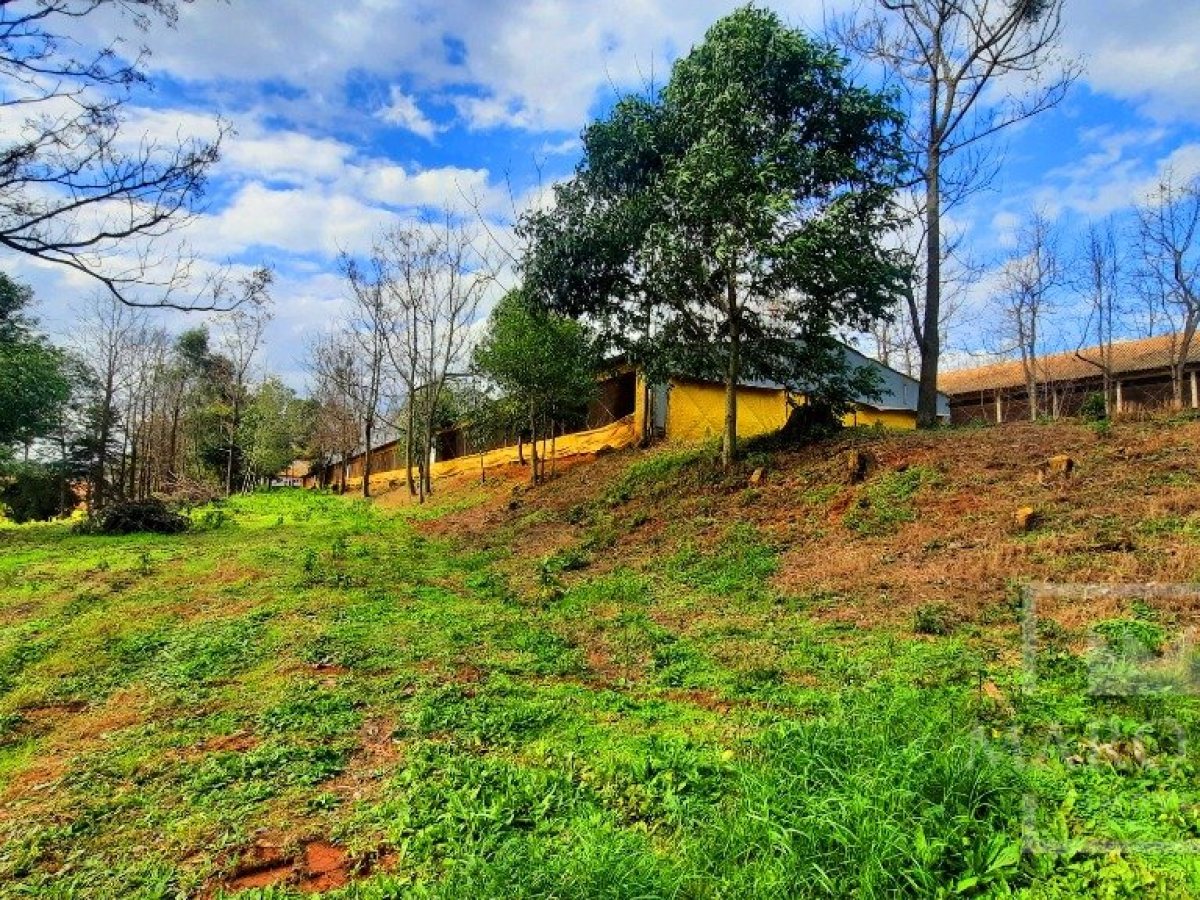 Área com 36000m², Nao suíte, no bairro Interior em Marau