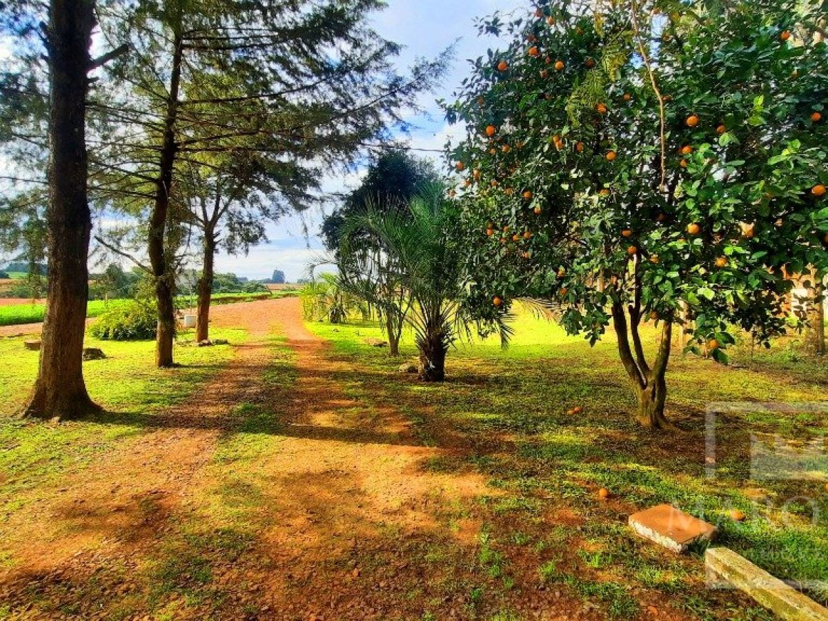 Área com 36000m², Nao suíte, no bairro Interior em Marau