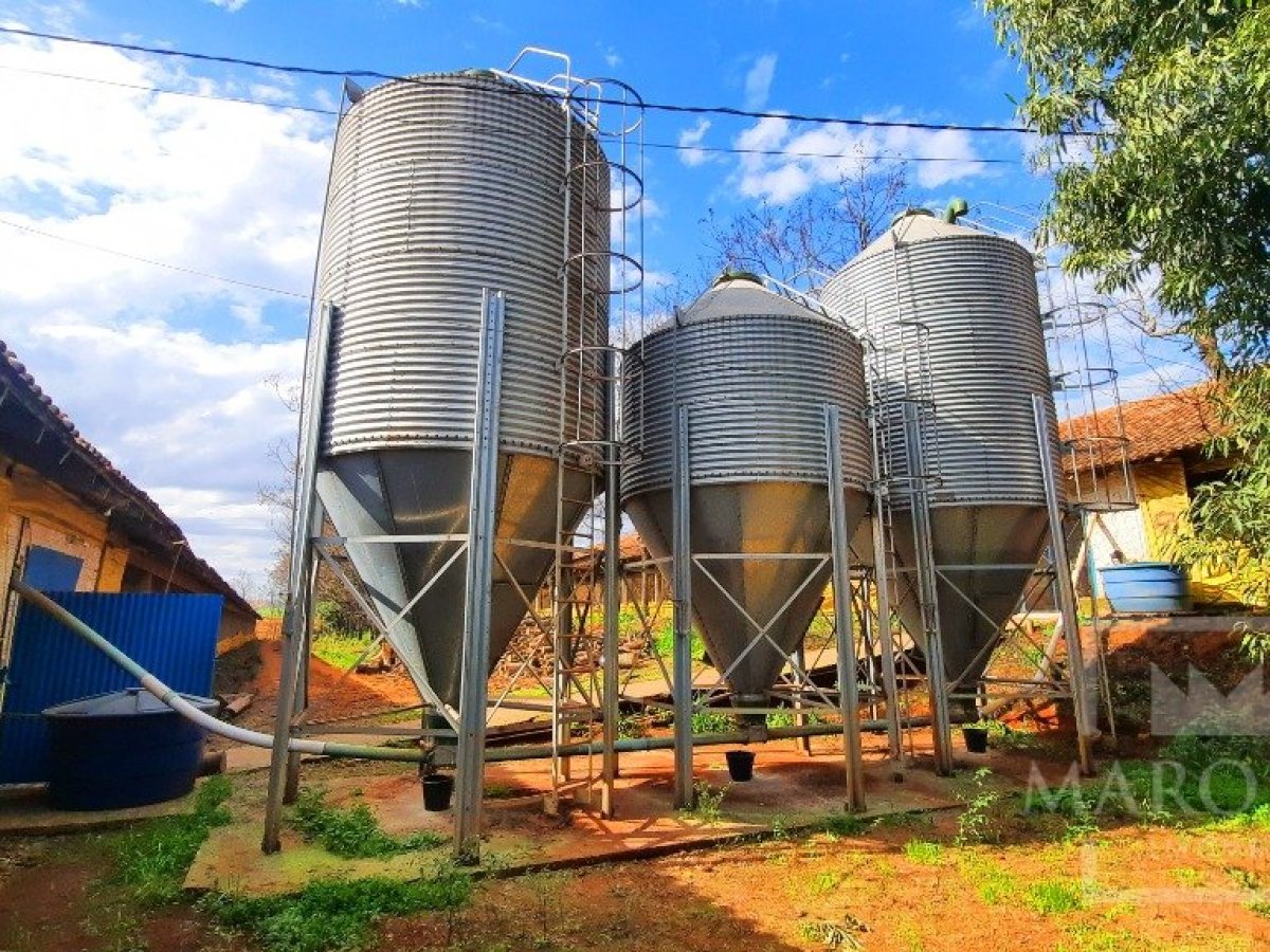 Área com 36000m², Nao suíte, no bairro Interior em Marau