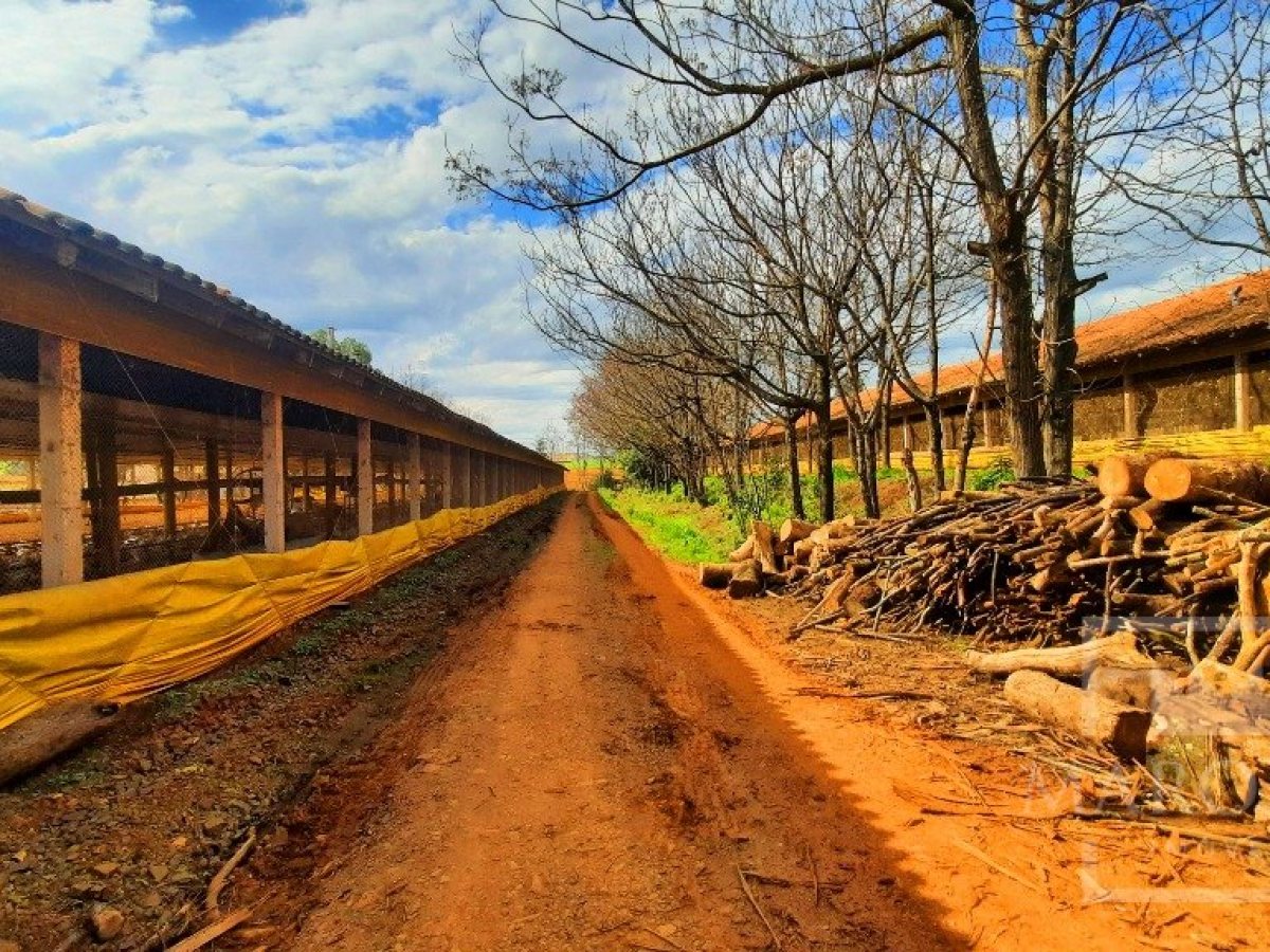 Área com 36000m², Nao suíte, no bairro Interior em Marau