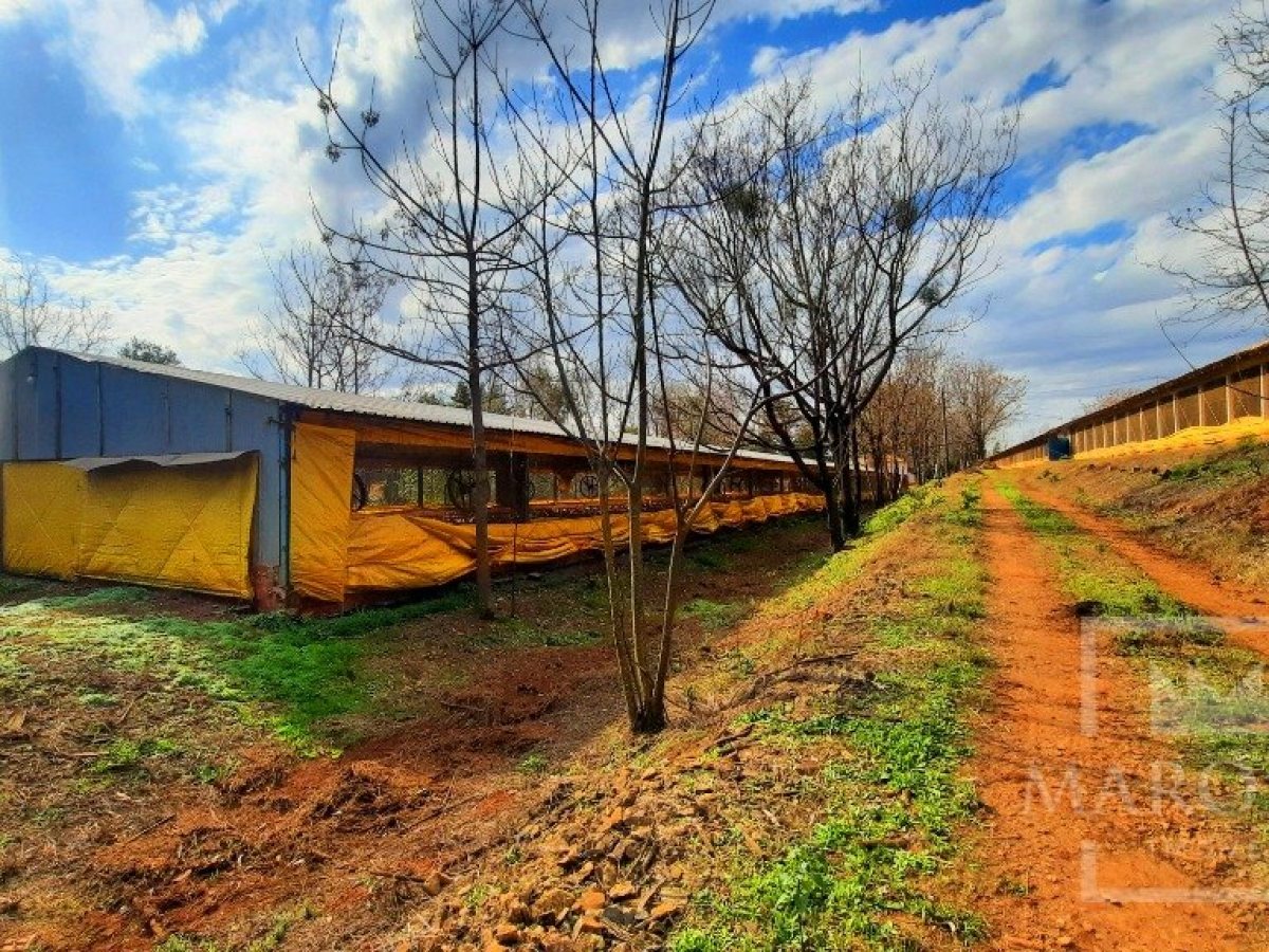 Área com 36000m², Nao suíte, no bairro Interior em Marau