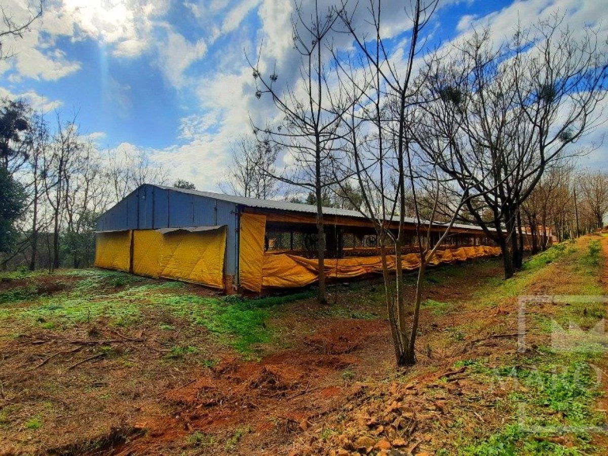 Área com 36000m², Nao suíte, no bairro Interior em Marau