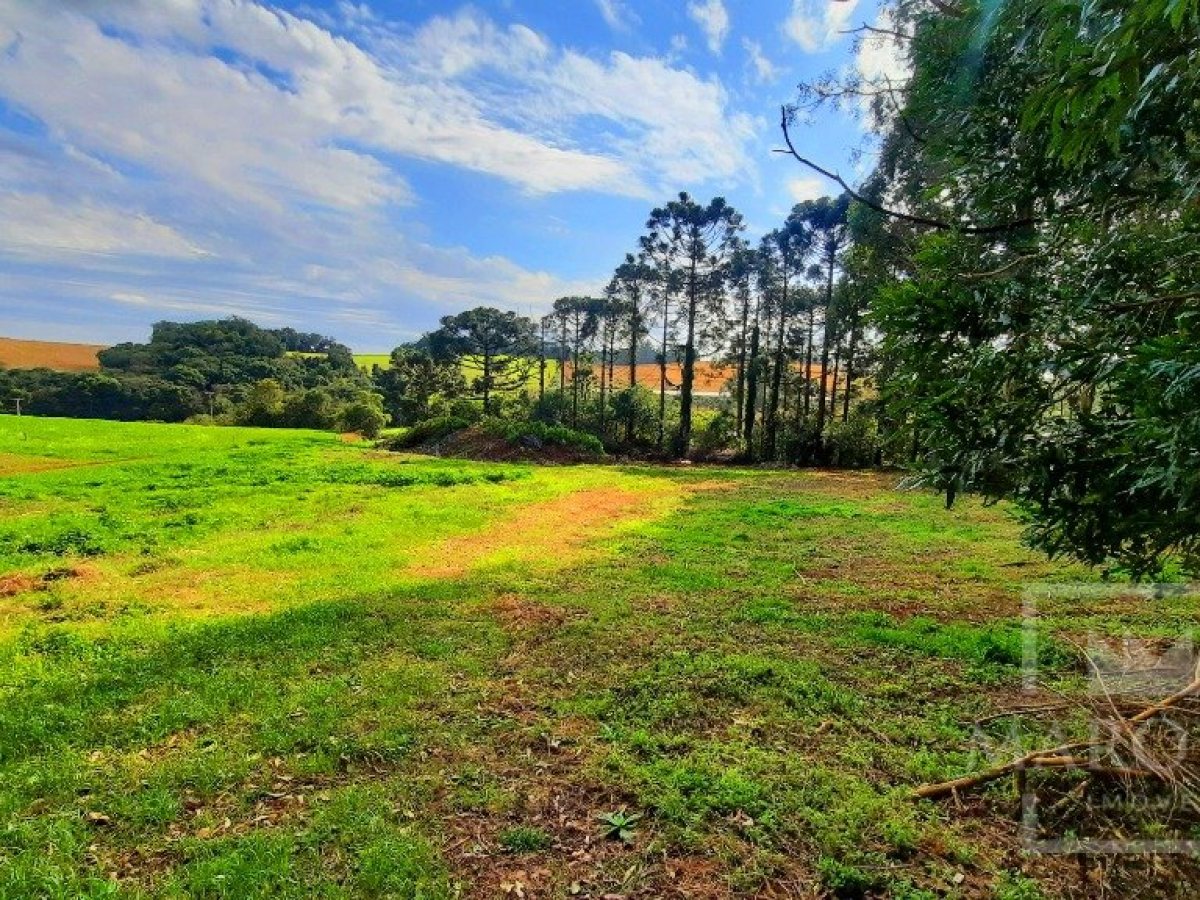 Área com 36000m², Nao suíte, no bairro Interior em Marau