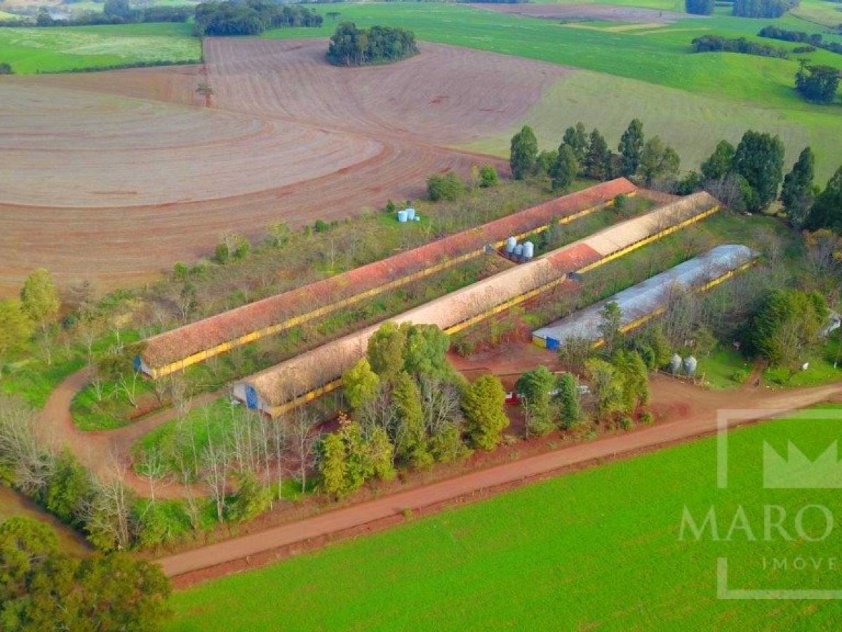 Área com 36000m², Nao suíte, no bairro Interior em Marau