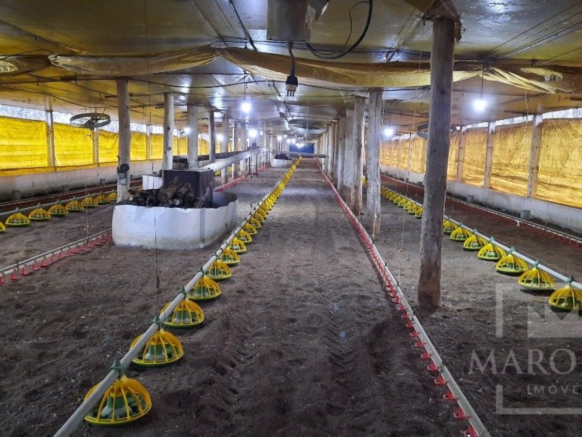 Área com 36000m², Nao suíte, no bairro Interior em Marau