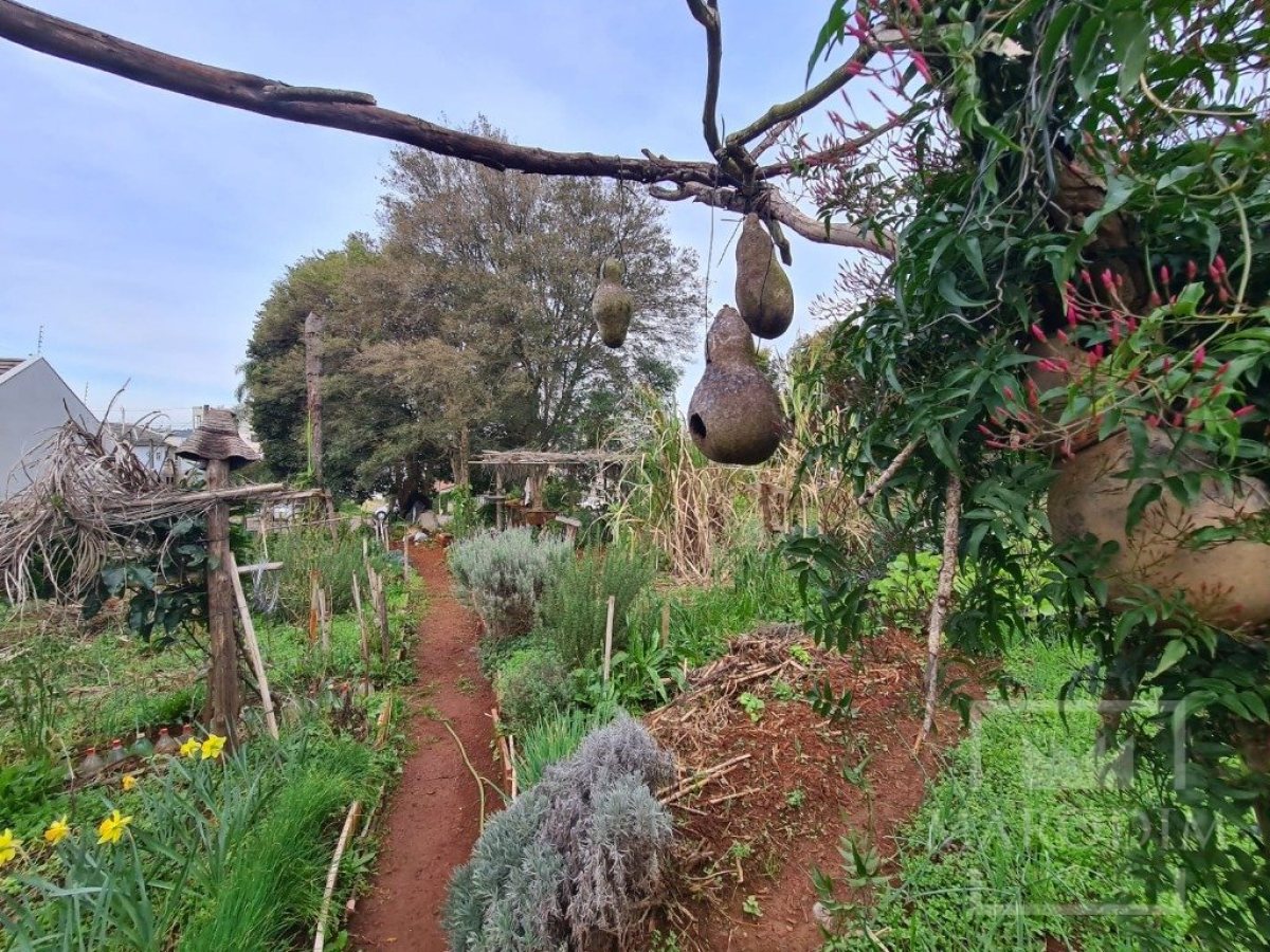 Terreno com 711m², Nao suíte, no bairro Bosque em Marau
