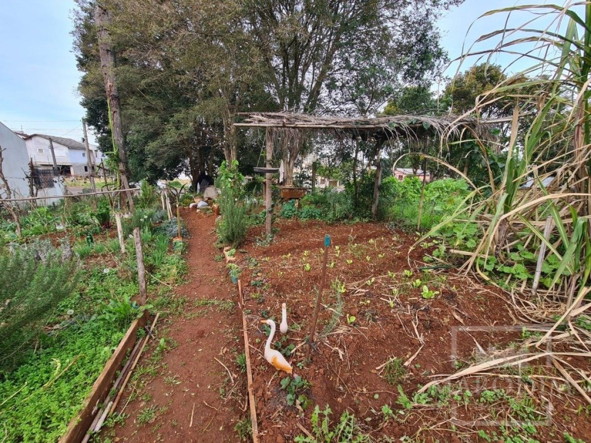 Terreno com 711m², Nao suíte, no bairro Bosque em Marau