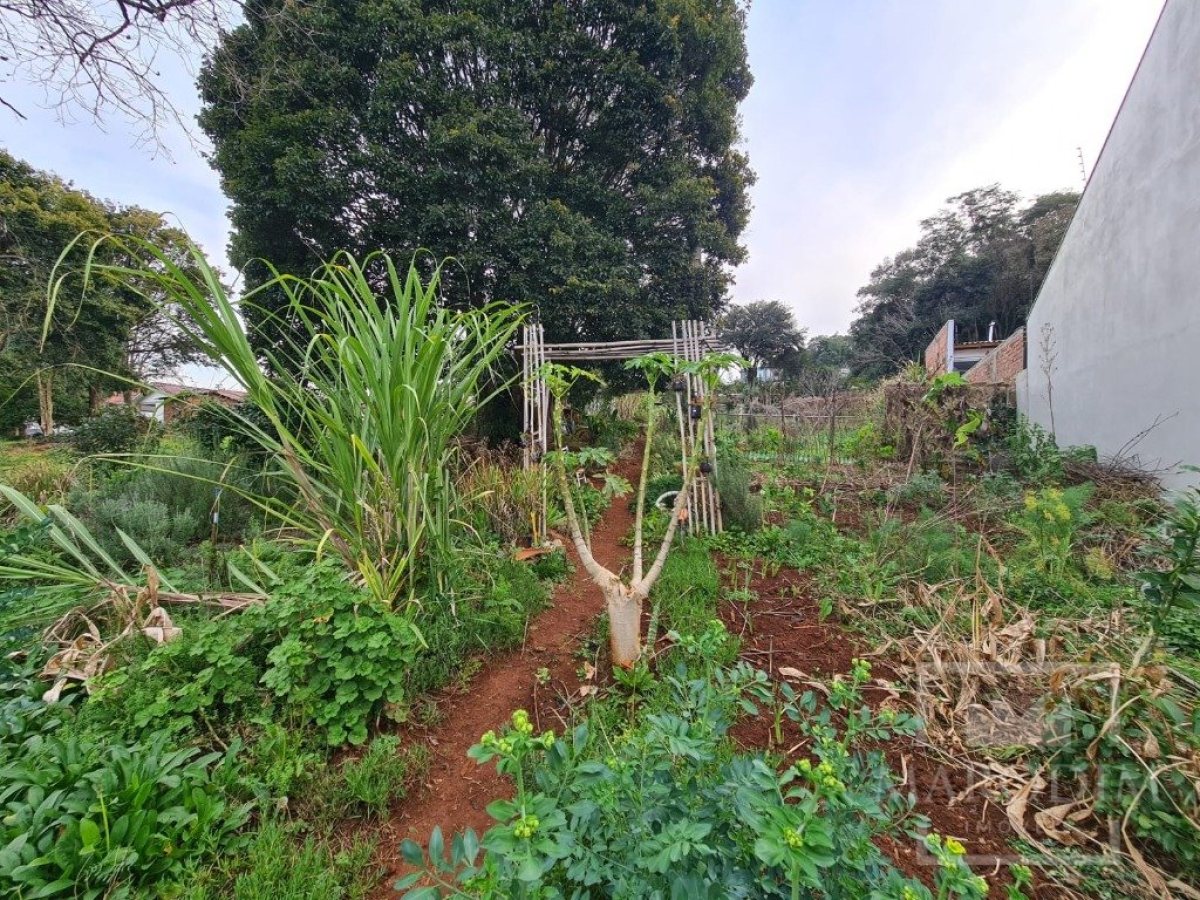 Terreno com 711m², Nao suíte, no bairro Bosque em Marau