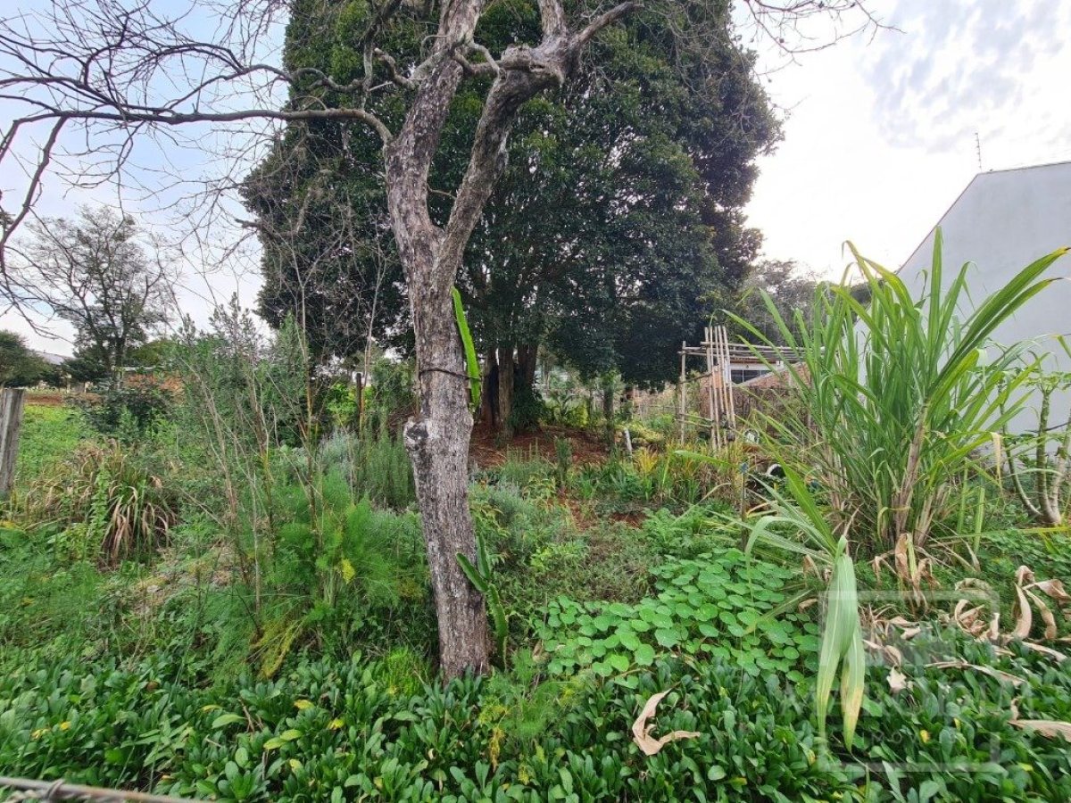 Terreno com 711m², Nao suíte, no bairro Bosque em Marau