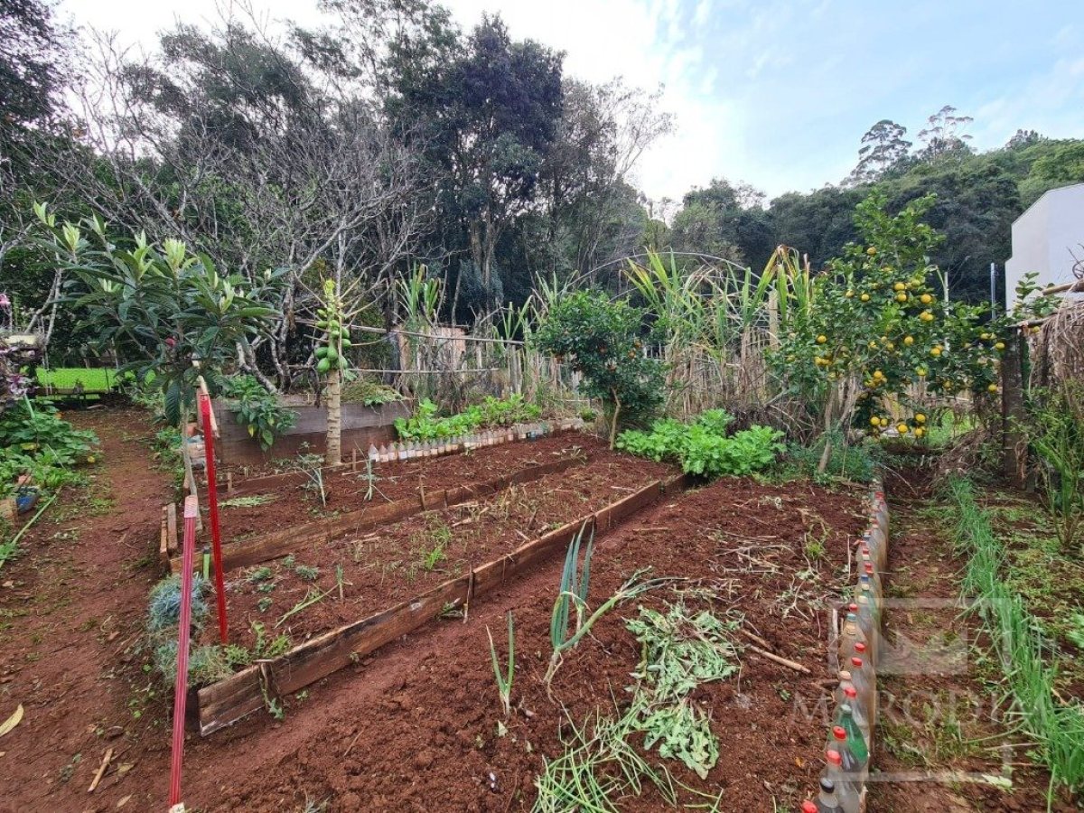 Terreno com 711m², Nao suíte, no bairro Bosque em Marau