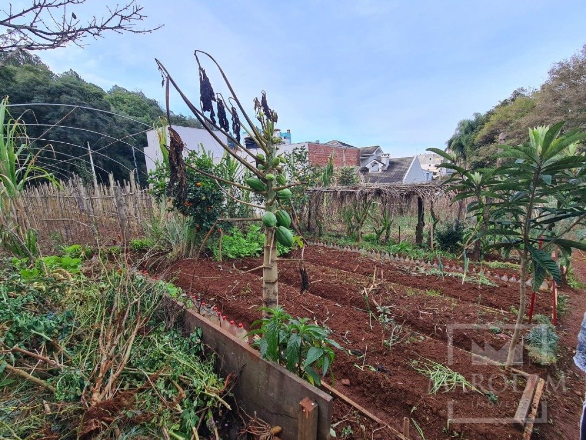 Terreno com 711m², Nao suíte, no bairro Bosque em Marau