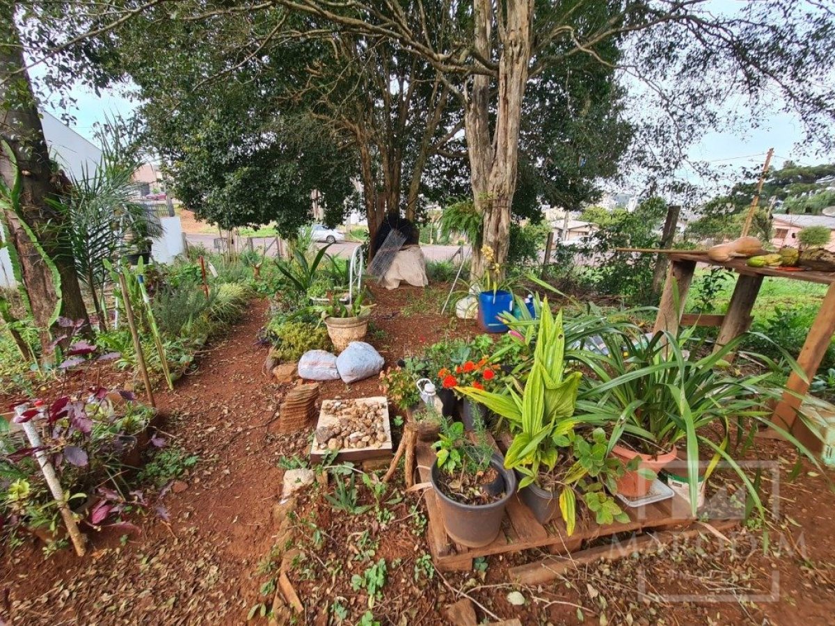 Terreno com 711m², Nao suíte, no bairro Bosque em Marau