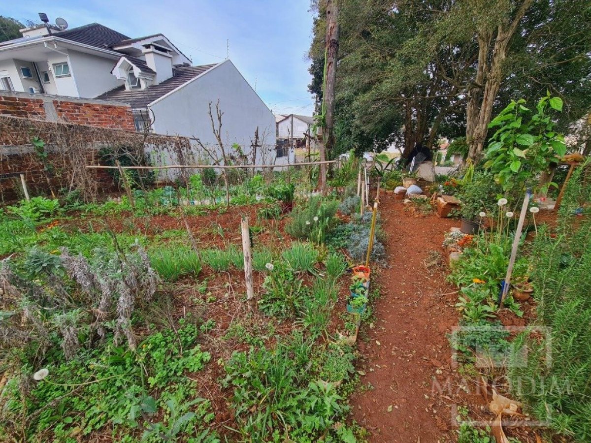 Terreno com 711m², Nao suíte, no bairro Bosque em Marau