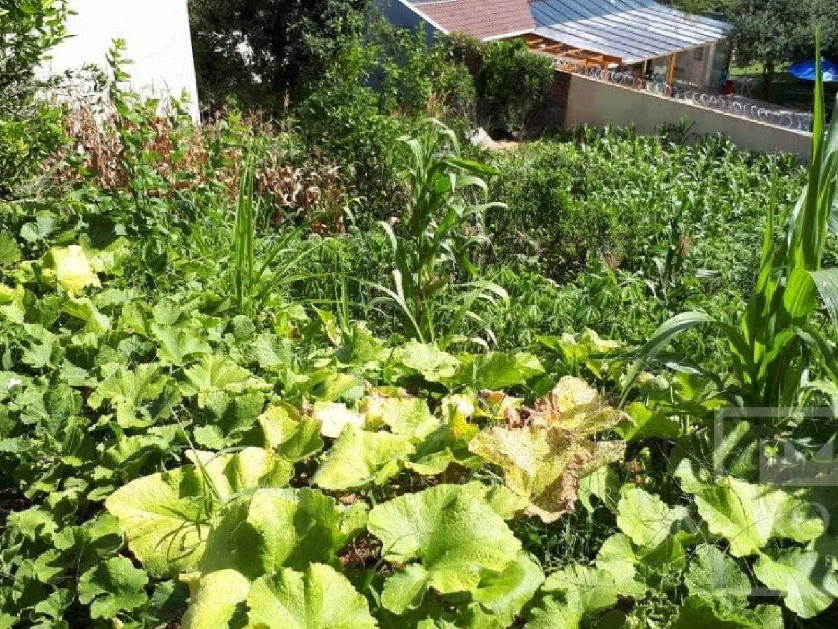 Terreno com 391m², Nao suíte, no bairro Progresso em Marau
