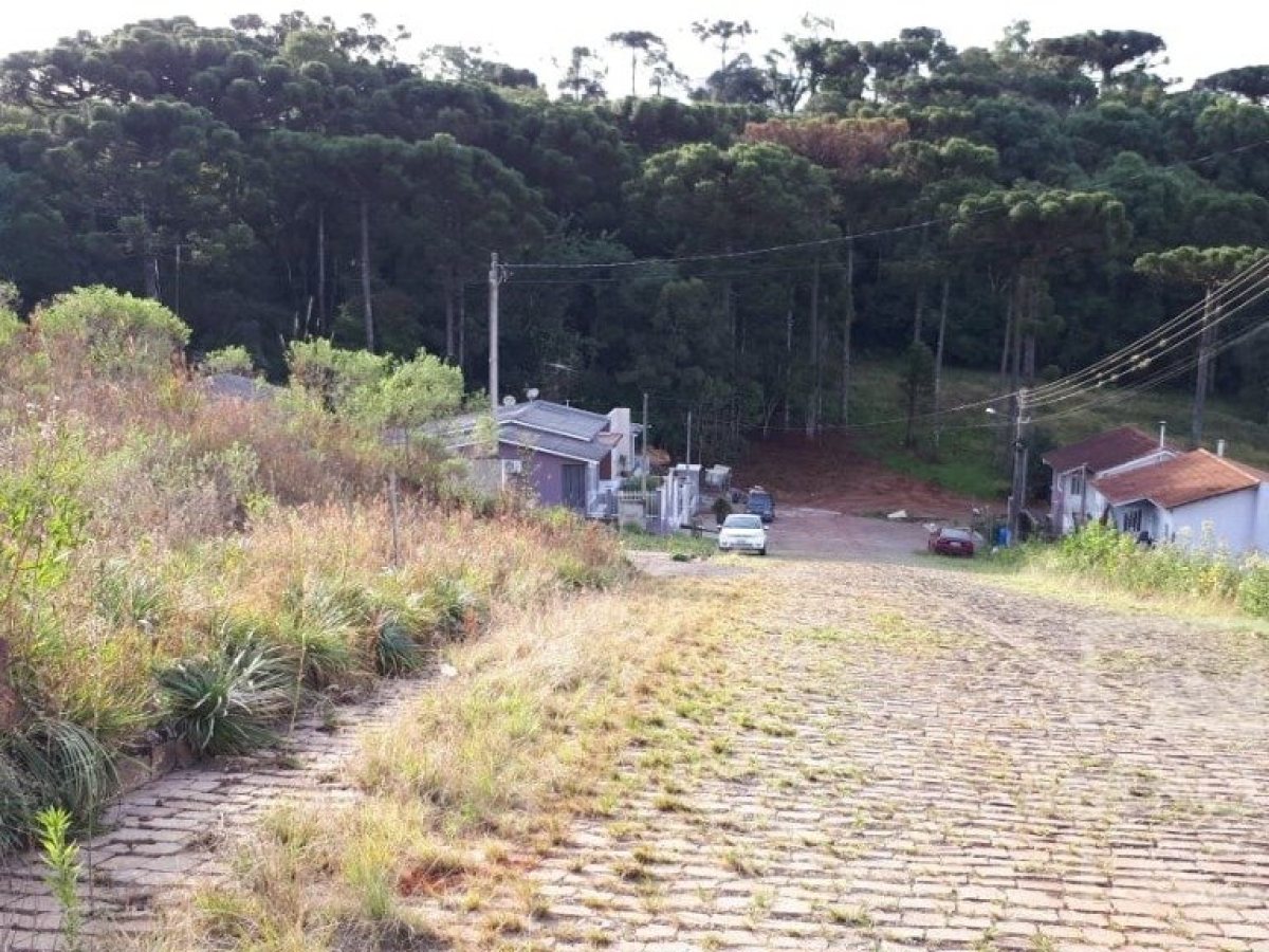 Terreno com 390m², Nao suíte, no bairro Loteamento Girardi em Marau