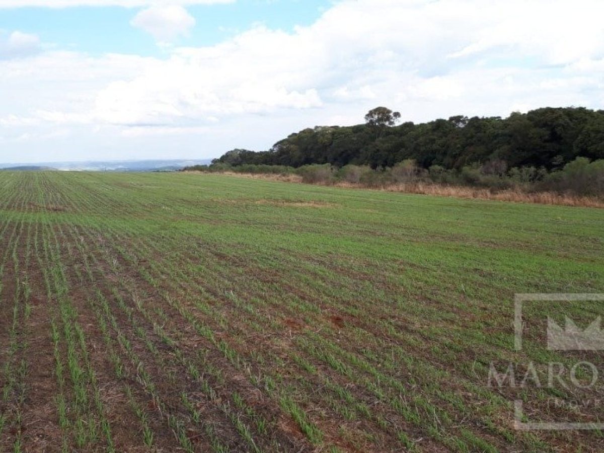 Área com 17500m², Nao suíte, no bairro Frei Adelar em Marau