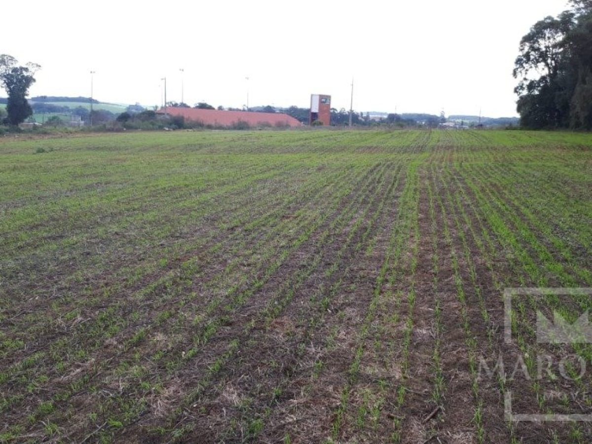Área com 17500m², Nao suíte, no bairro Frei Adelar em Marau