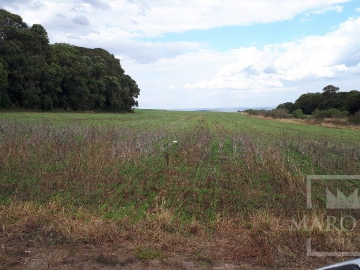 Área com 17500m², Nao suíte, no bairro Frei Adelar em Marau