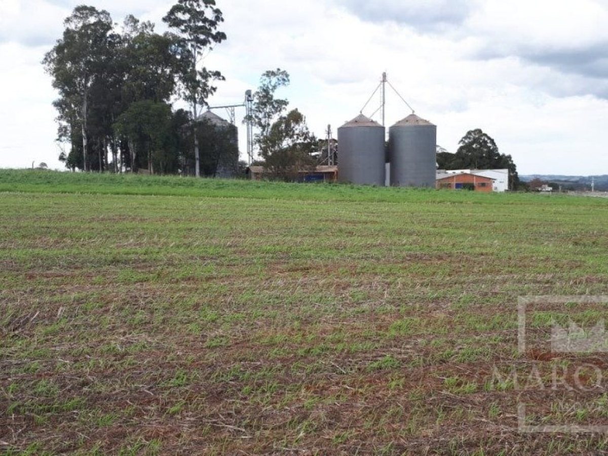 Área com 17500m², Nao suíte, no bairro Frei Adelar em Marau