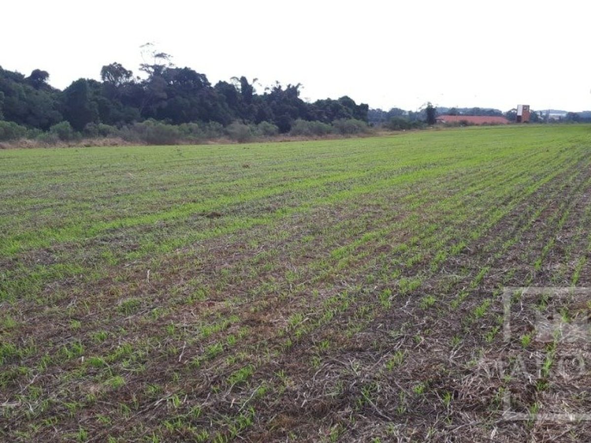 Área com 17500m², Nao suíte, no bairro Frei Adelar em Marau