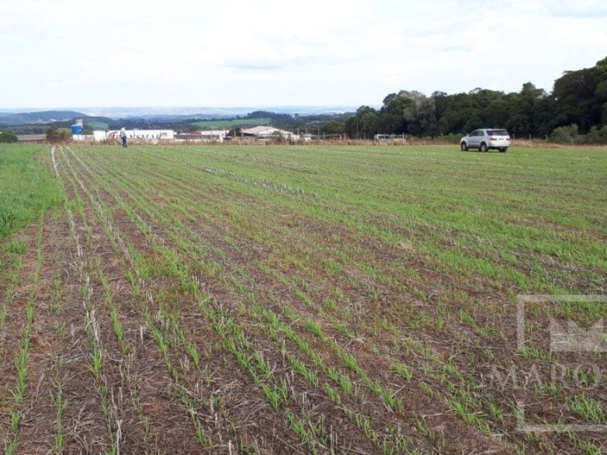 Área com 17500m², Nao suíte, no bairro Frei Adelar em Marau