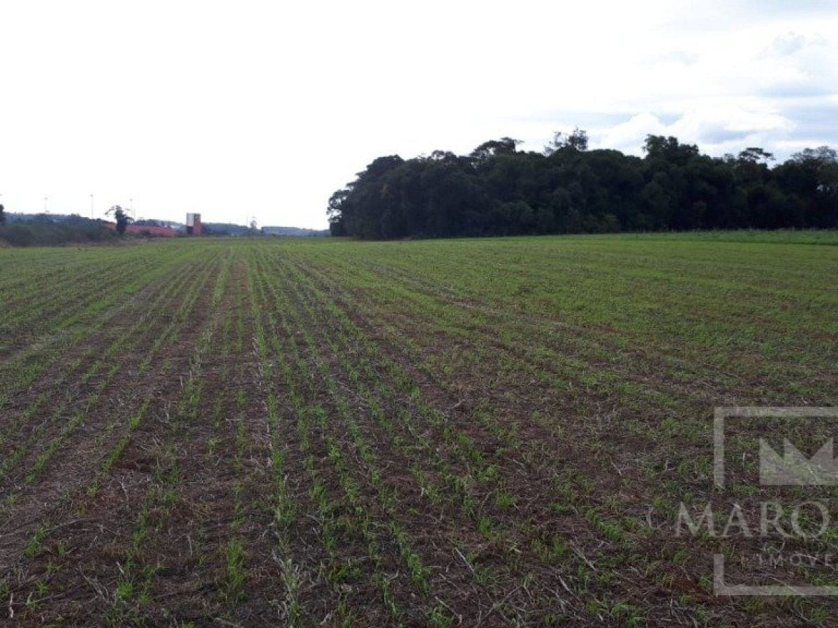Área com 17500m², Nao suíte, no bairro Frei Adelar em Marau